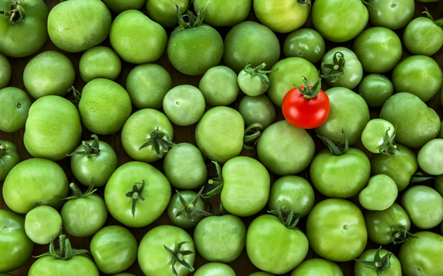 tVnMSjsNKfeC65hkV4.jpg 2.jpg