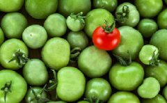 平面视觉形象设计与人的心理学之间的瓜葛